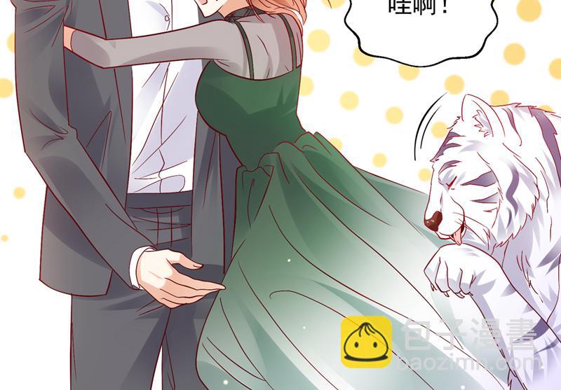 和我一起养大猫吧？19
