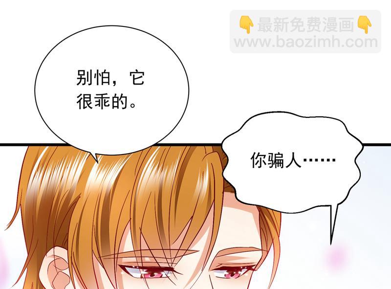 和我一起养大猫吧？21