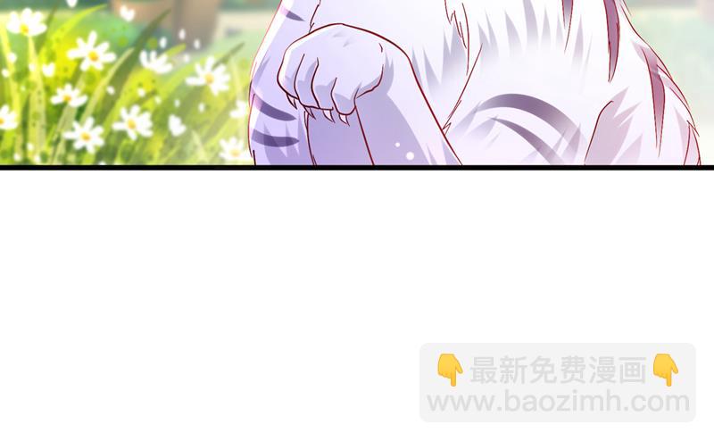 和我一起养大猫吧？26