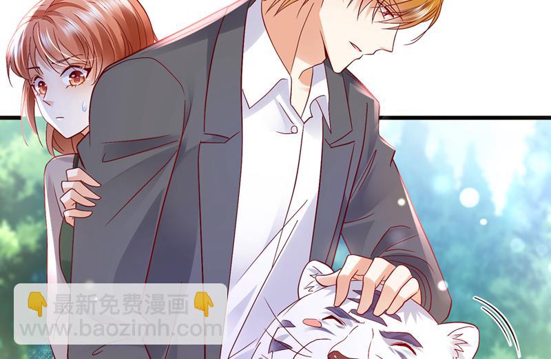 和我一起养大猫吧？28