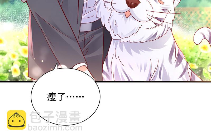和我一起养大猫吧？29