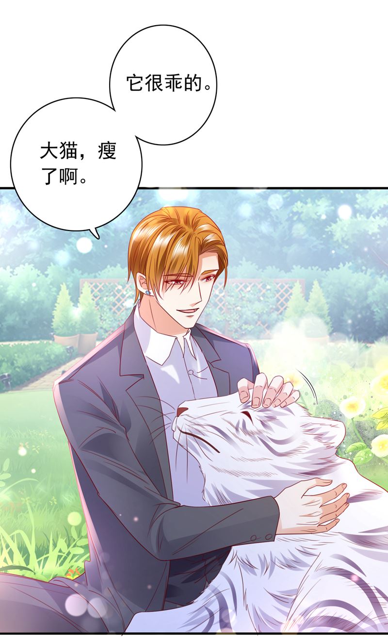 和我一起养大猫吧？3