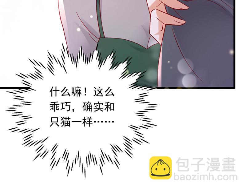 和我一起养大猫吧？32