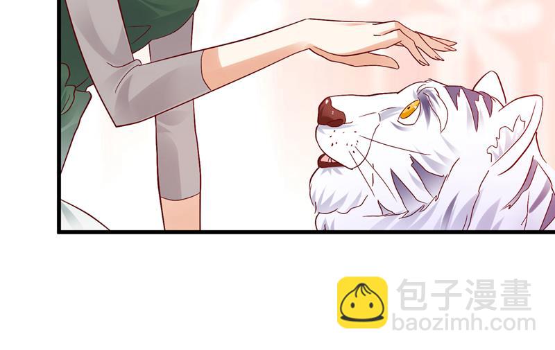 和我一起养大猫吧？35