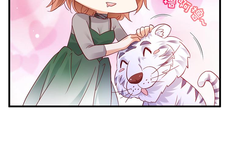 和我一起养大猫吧？38