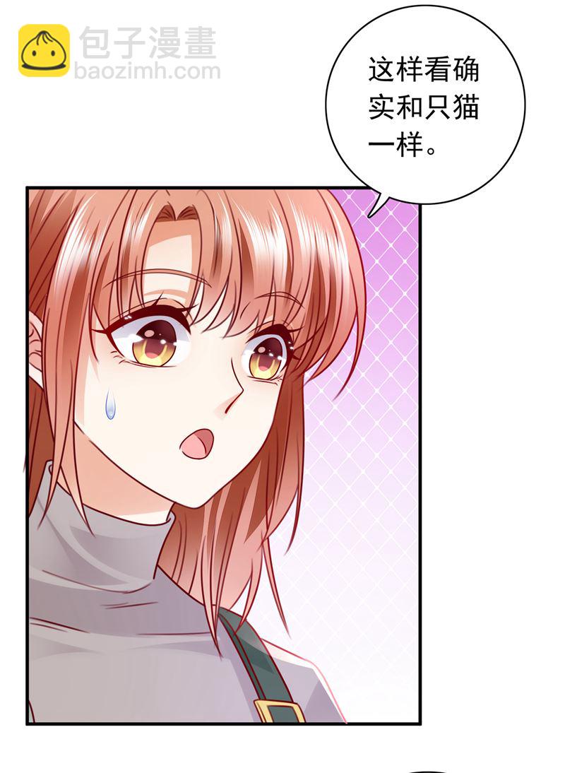 和我一起养大猫吧？4