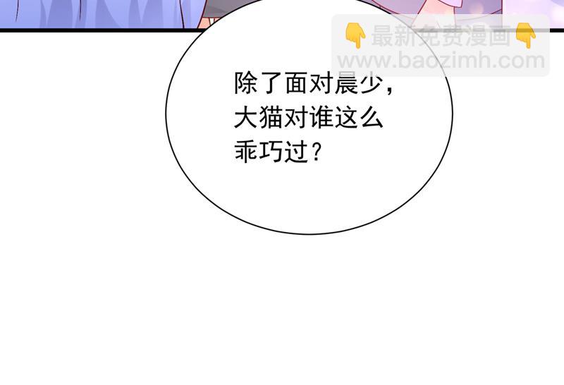 和我一起养大猫吧？41
