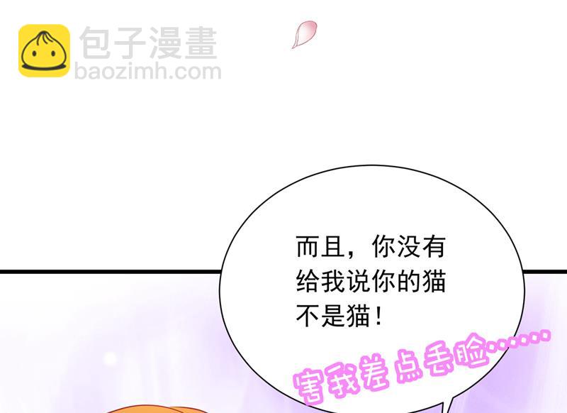 和我一起养大猫吧？48
