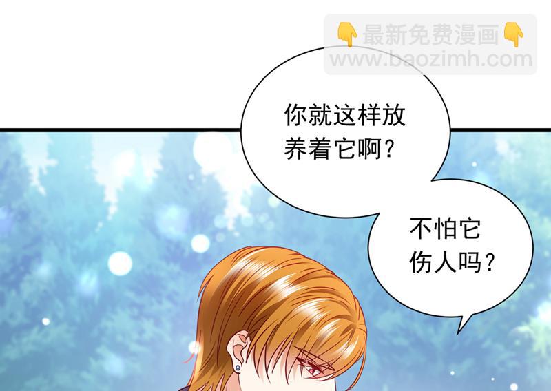 和我一起养大猫吧？56