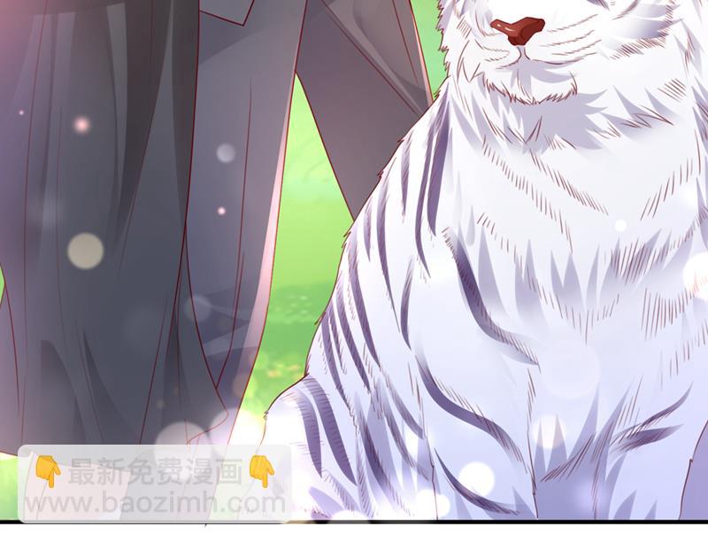和我一起养大猫吧？7