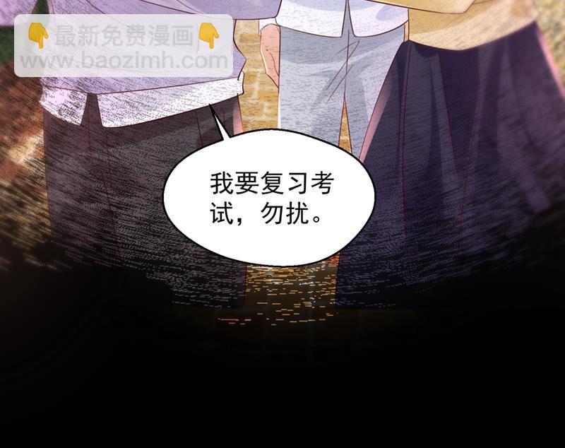 你想让我假公济私？51