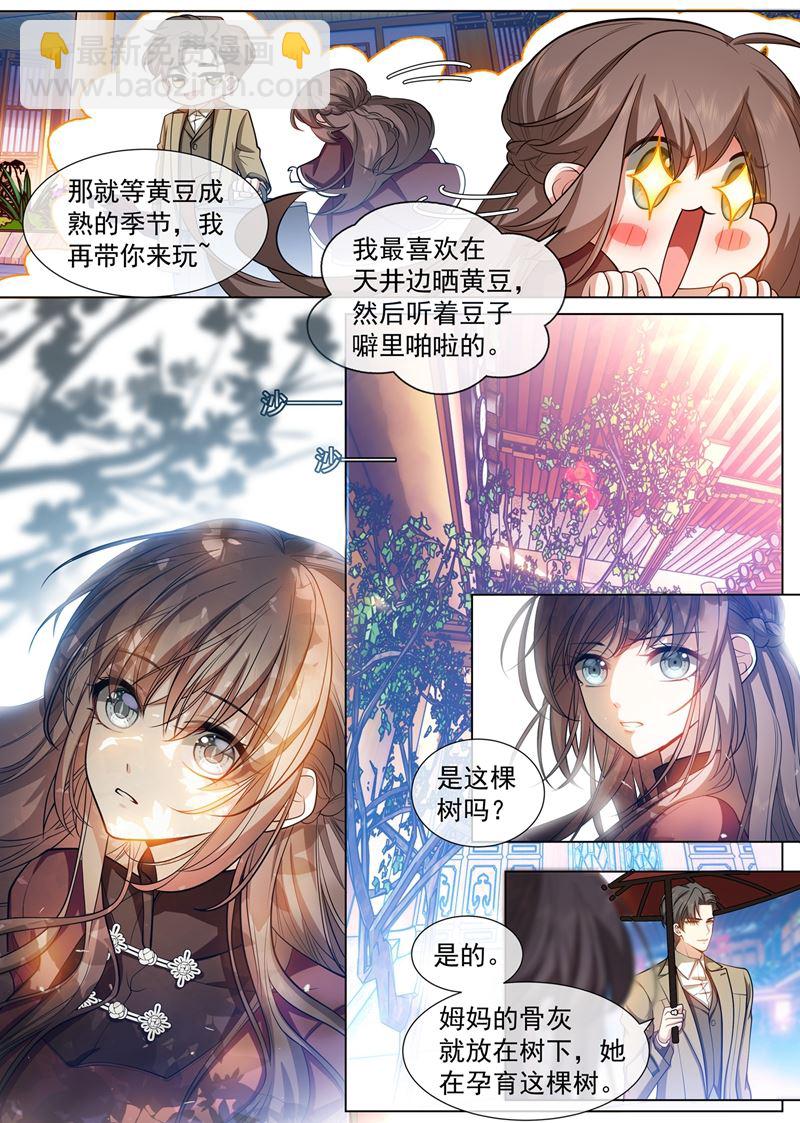 老宅的梅花树下7