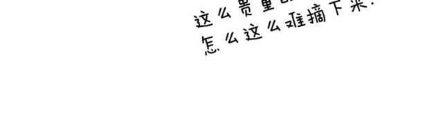 第12话 礼物89
