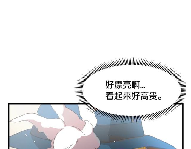 第13话 魔法师测试6