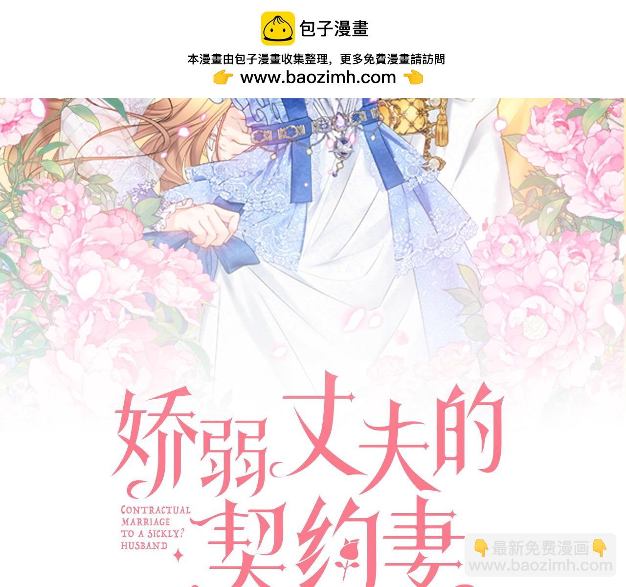 完结篇 尘埃落定1