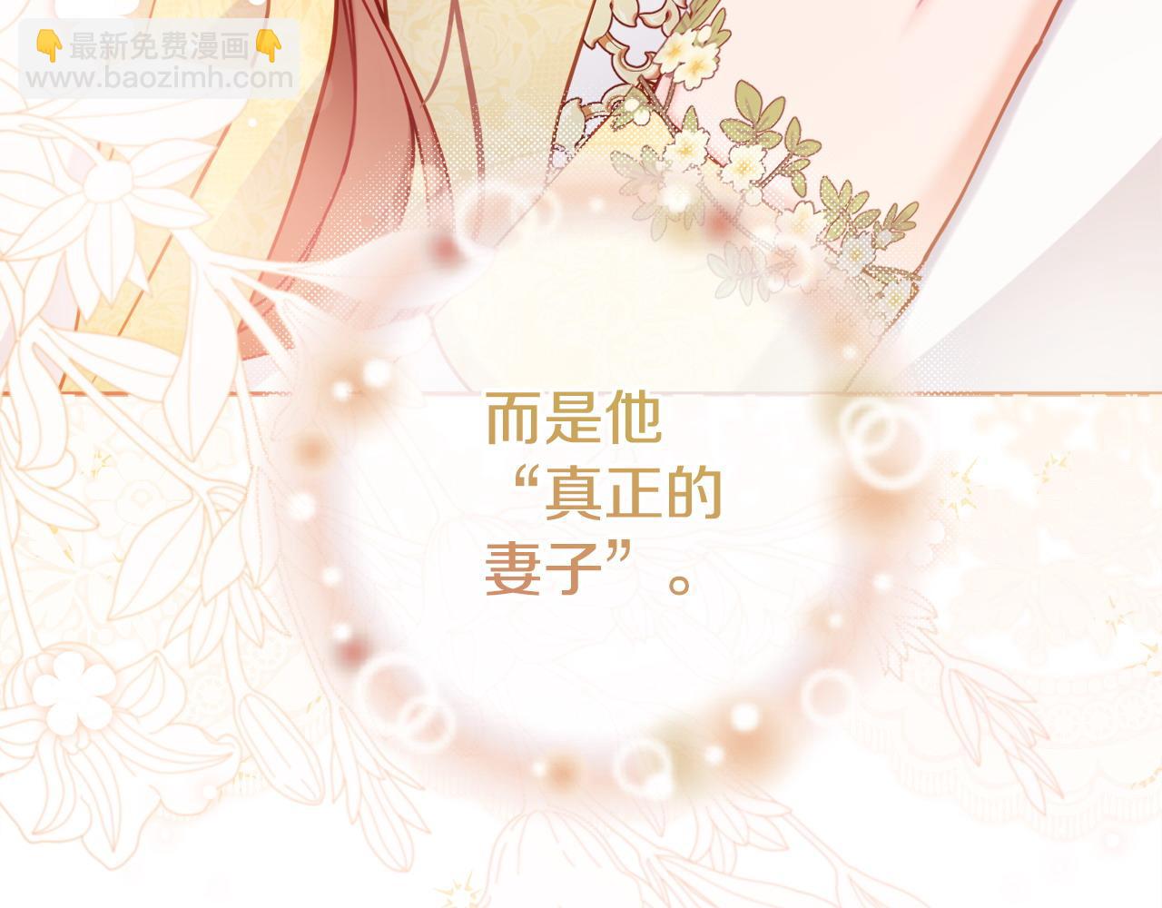 完结篇 尘埃落定177