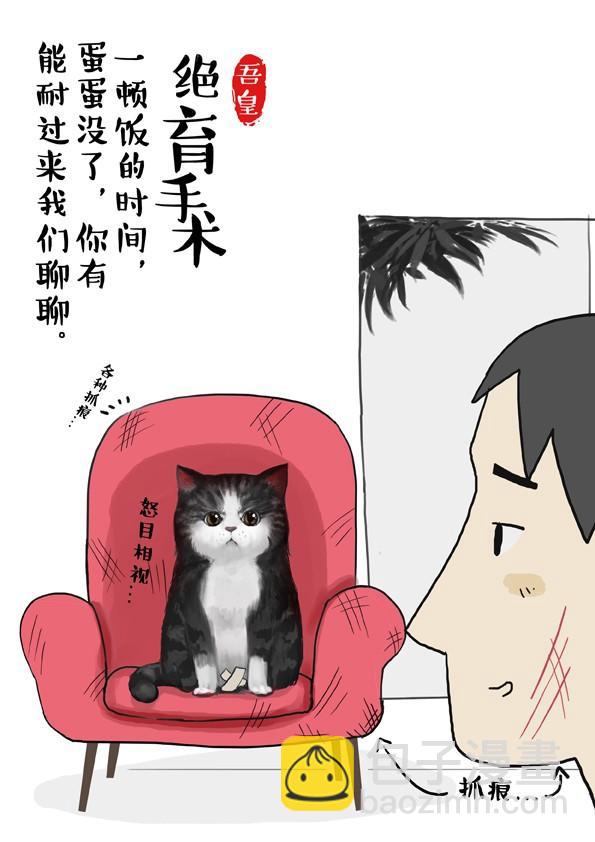 第2话 傲娇是猫的原则1