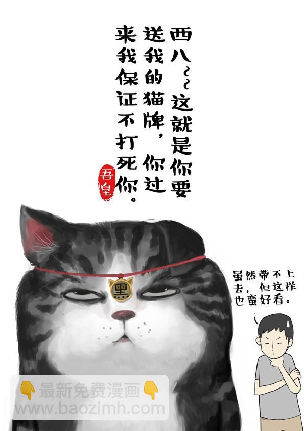 第2话 傲娇是猫的原则4