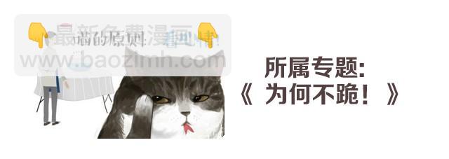 第2话 傲娇是猫的原则8