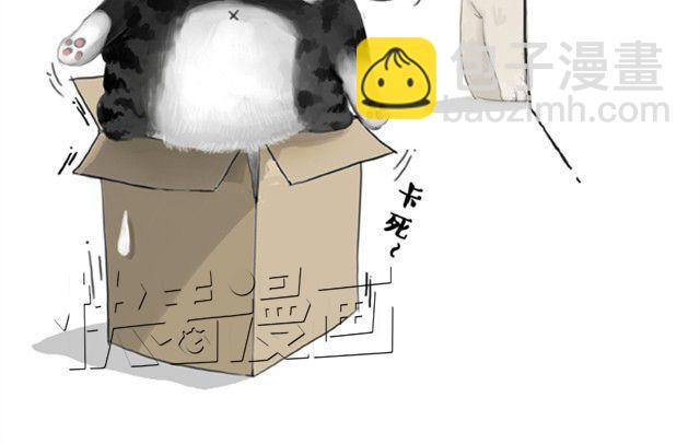 第5话 让我吃胖一定是人类陷阱9
