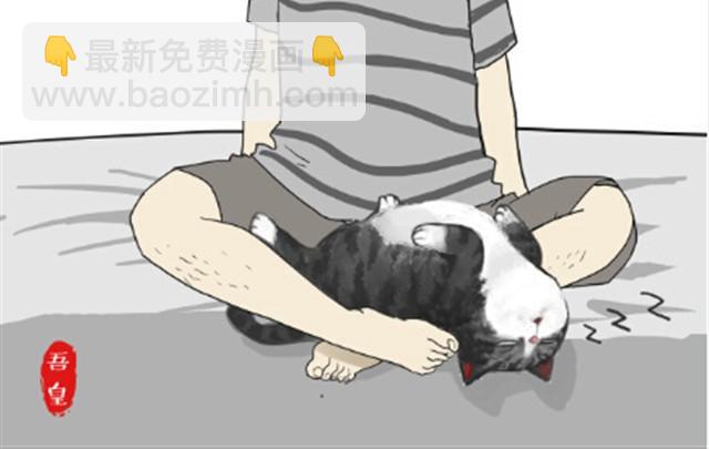 第6话 喵的睡姿就是如此奔放14