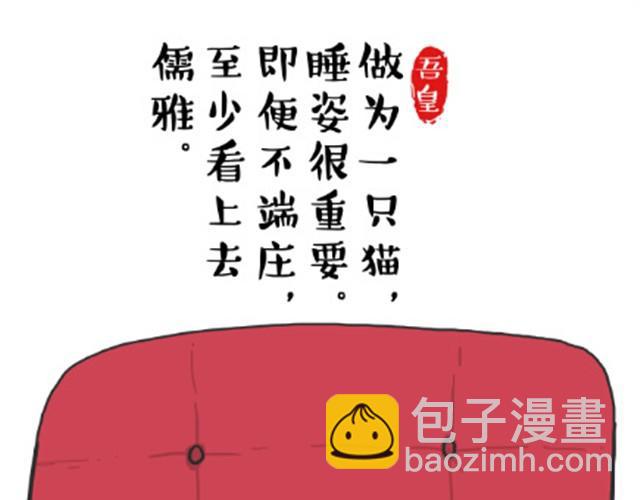 第6话 喵的睡姿就是如此奔放3