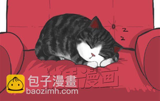 第6话 喵的睡姿就是如此奔放4