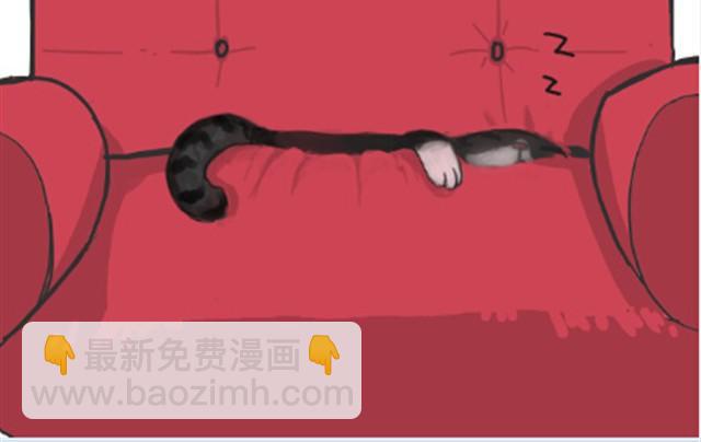 第6话 喵的睡姿就是如此奔放6