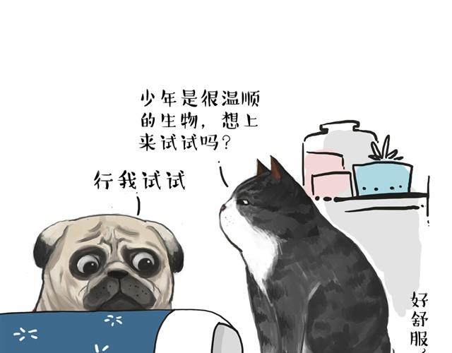 第11话 温顺的少年0