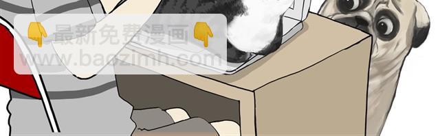 第11话 温顺的少年9