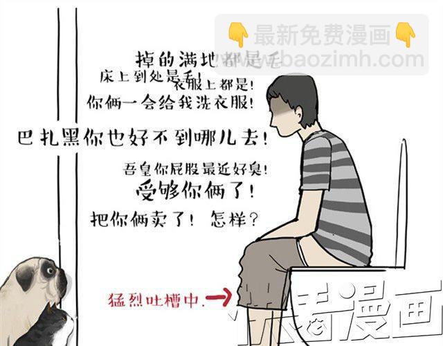 第12话 上厕所不要说猫狗坏话6