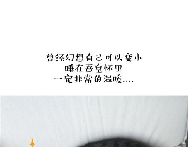 第14话 缩小后最容易遇见什么0
