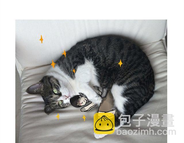 第14话 缩小后最容易遇见什么10