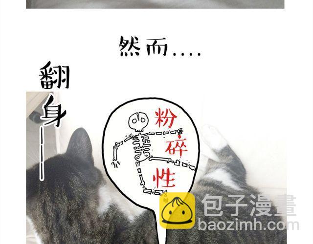 第14话 缩小后最容易遇见什么11