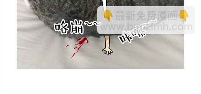 第14话 缩小后最容易遇见什么12