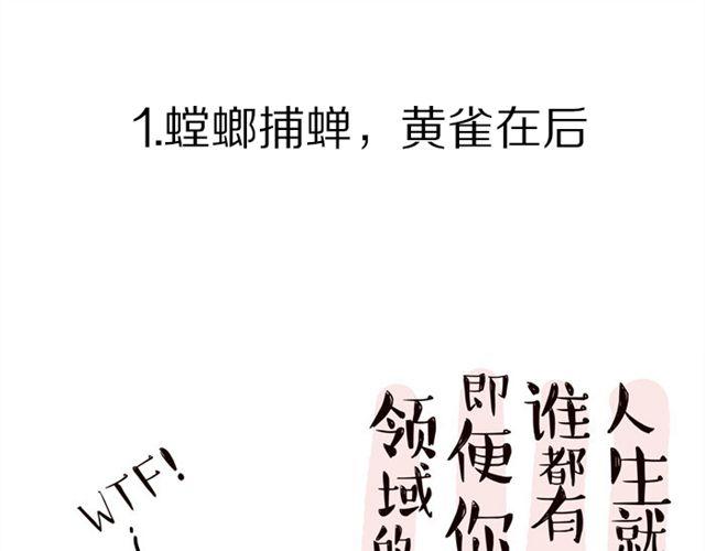 第15话 猫引发的朋友圈惨案0