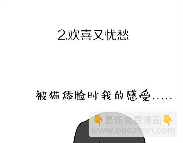 第15话 猫引发的朋友圈惨案12