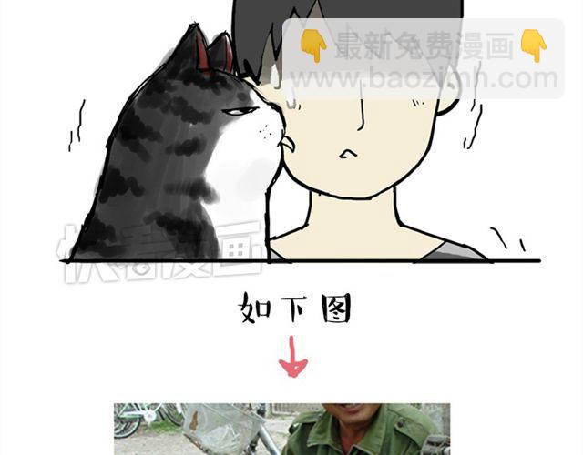 第15话 猫引发的朋友圈惨案13