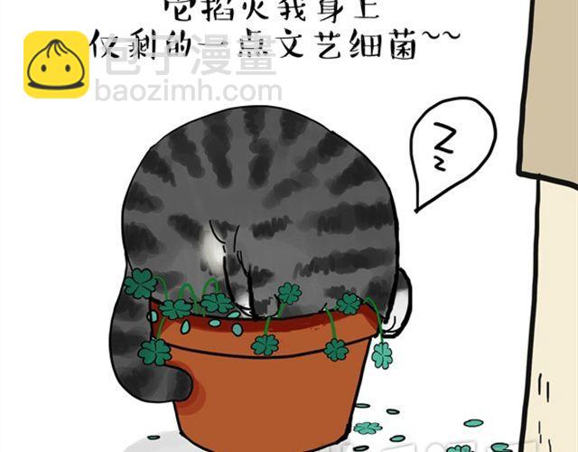 第15话 猫引发的朋友圈惨案19