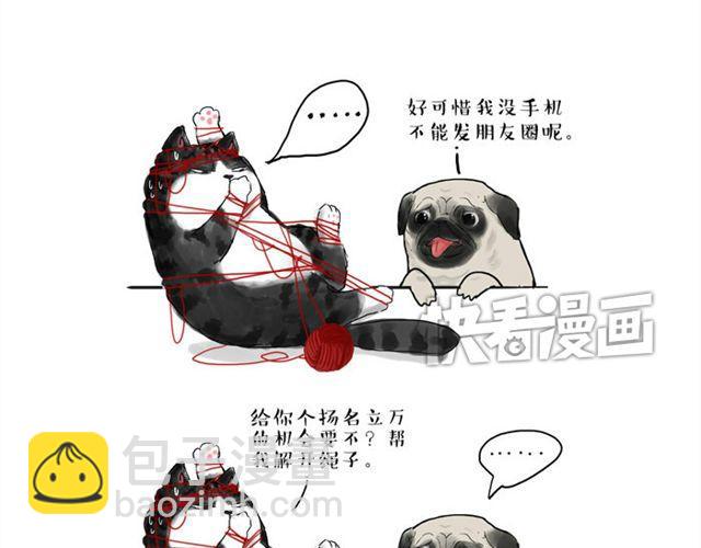 第15话 猫引发的朋友圈惨案2