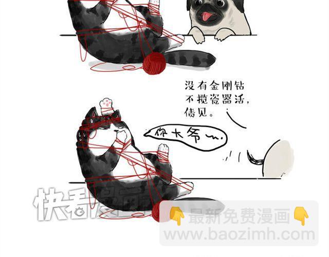 第15话 猫引发的朋友圈惨案3