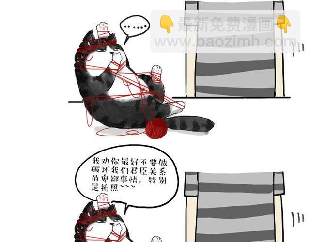 第15话 猫引发的朋友圈惨案4