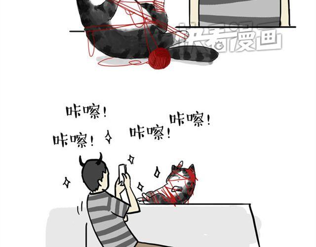 第15话 猫引发的朋友圈惨案5