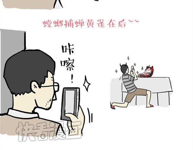 第15话 猫引发的朋友圈惨案7