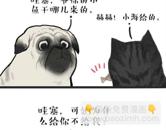 第16话 我家猫怎么能牺牲色相1