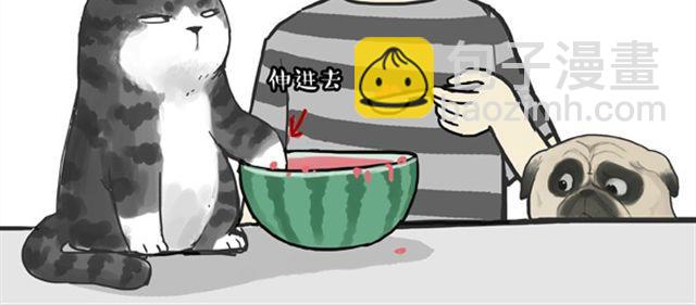 第16话 我家猫怎么能牺牲色相14