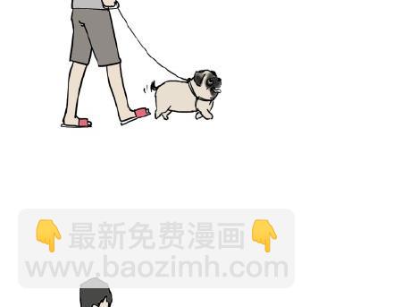 第17话 尽我所能，不打扰你13