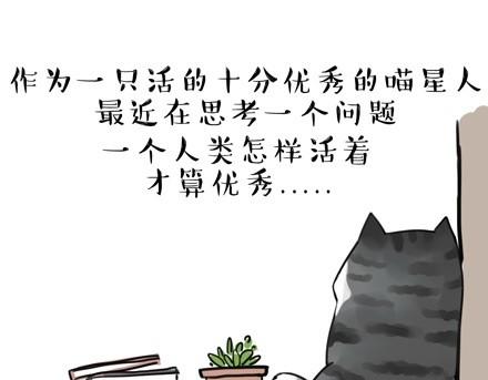 第18话 思考喵生的猫0