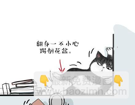 第18话 思考喵生的猫26