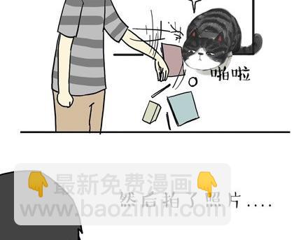 第18话 思考喵生的猫29